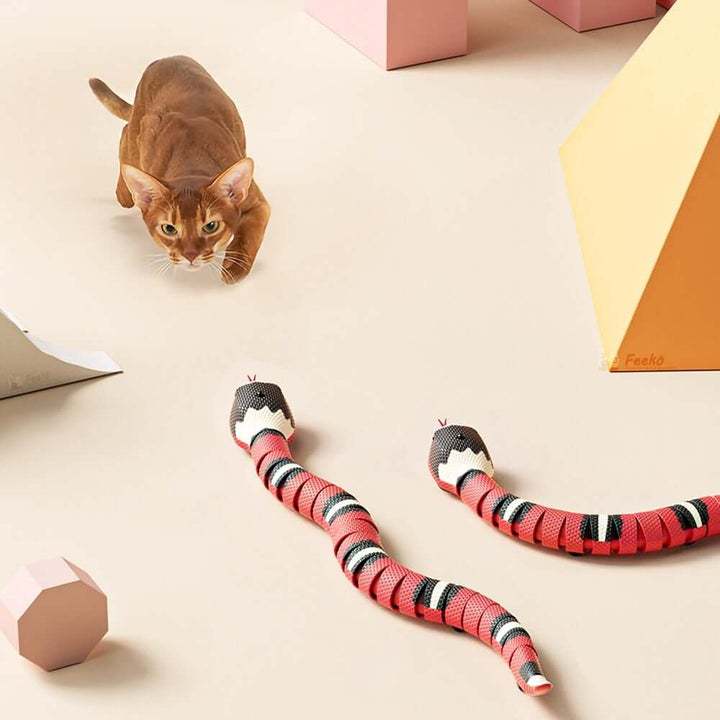 USB Charging Accessory For Pet Dogs