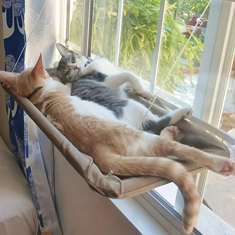 Shop Cats - Pawmorie cat products