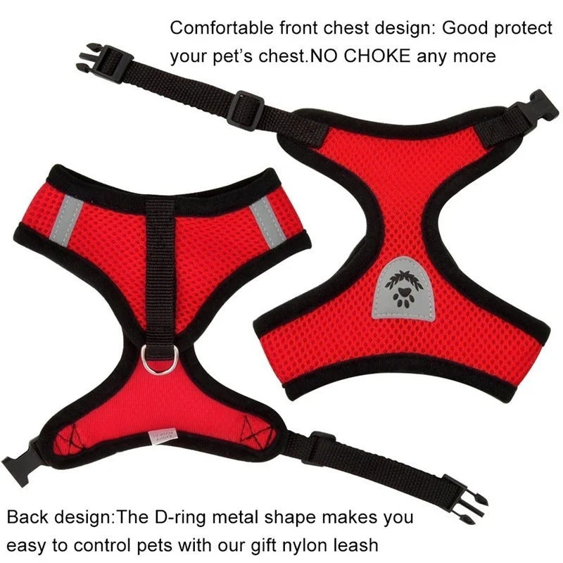 Cat Harness & Leash