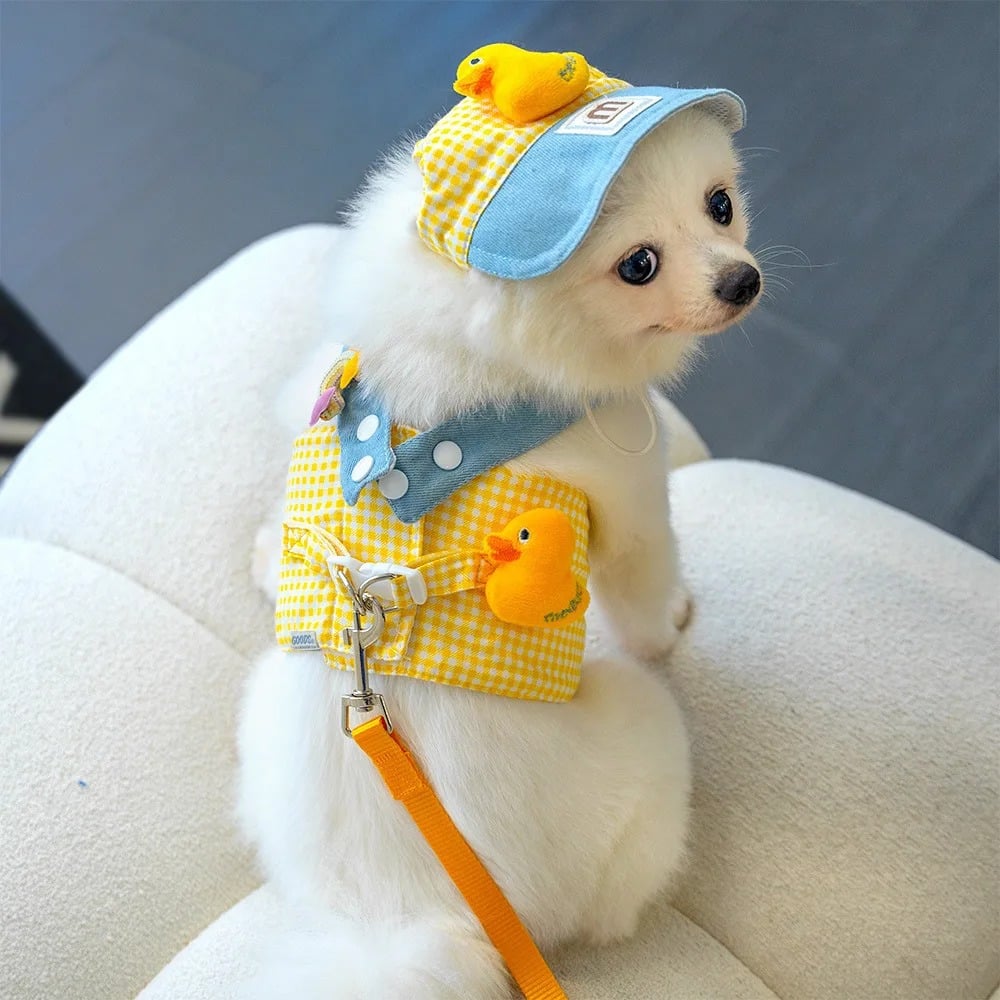 Cute Pet Outfit Set – 3-in-1 Harness, Leash & Cap