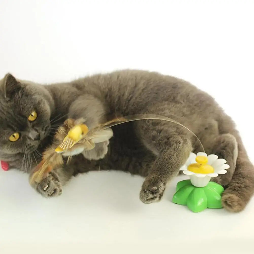 Interactive Cat Toy Automatic Rotating Flying Butterfly
